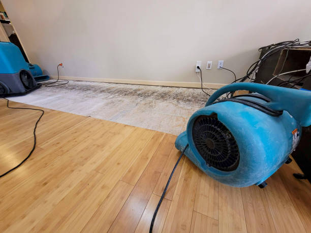 Professional Water Extraction technician working in Lake Forest, CA